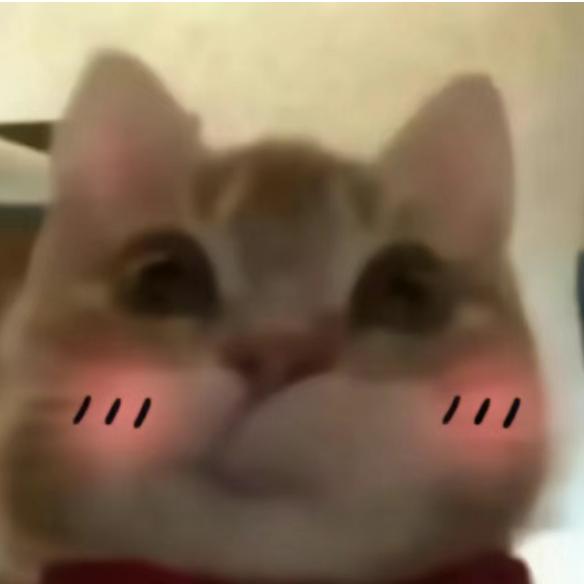 喵伊声