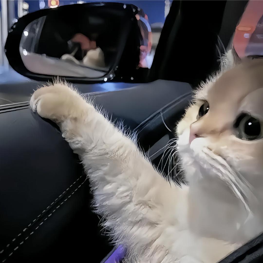 伊 泽