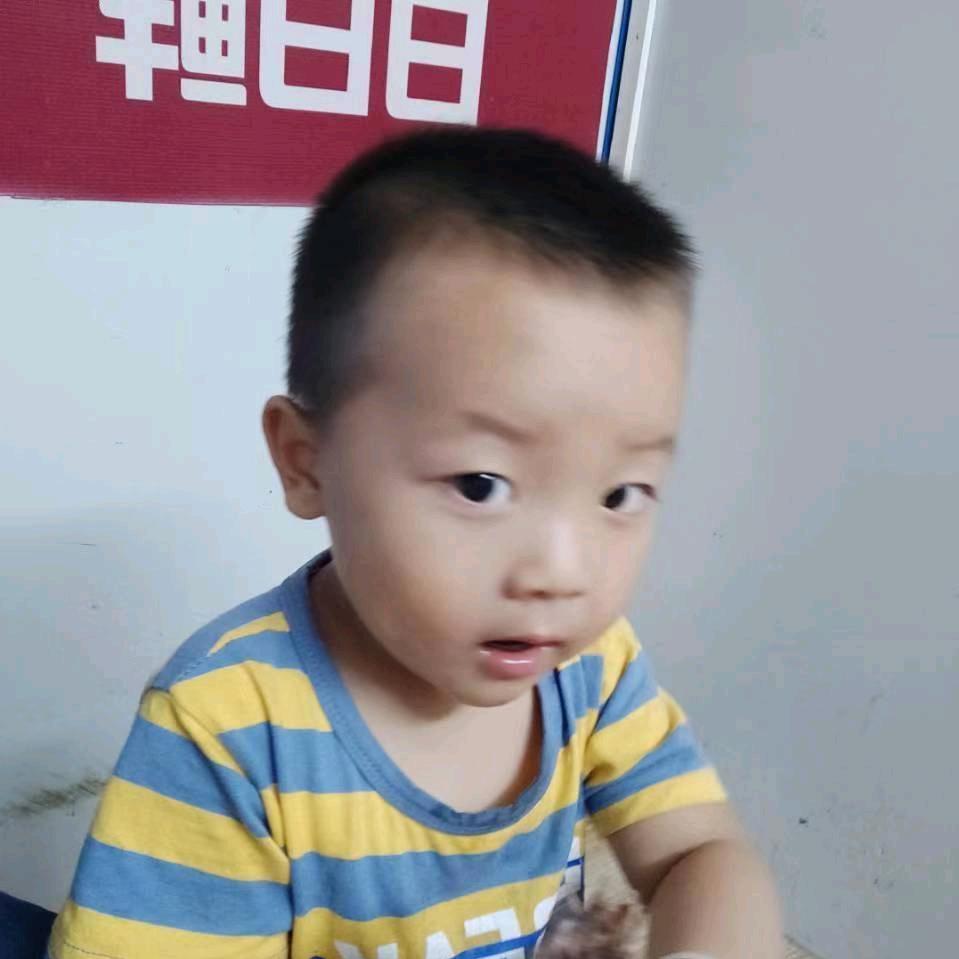 龙