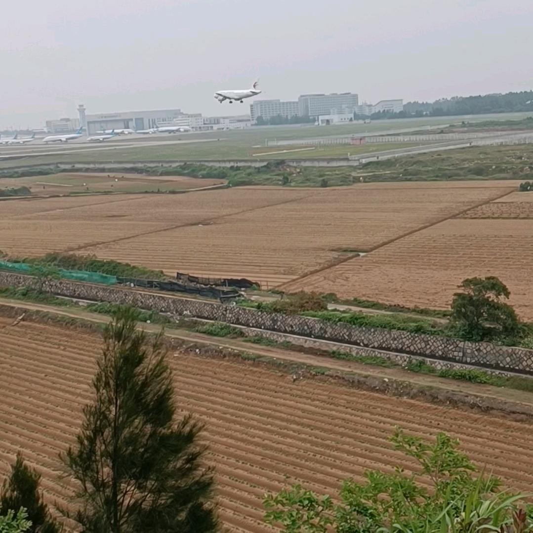 邹小娟