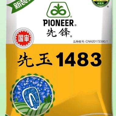 突泉先玉1483总经销