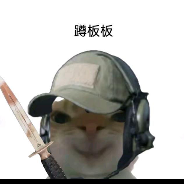 纵意（三角洲跑刀）