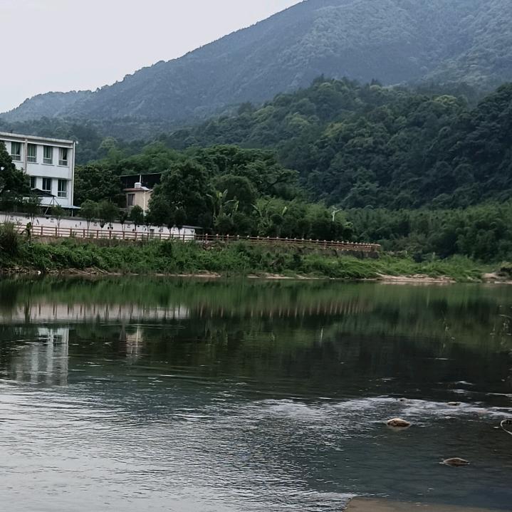 材料