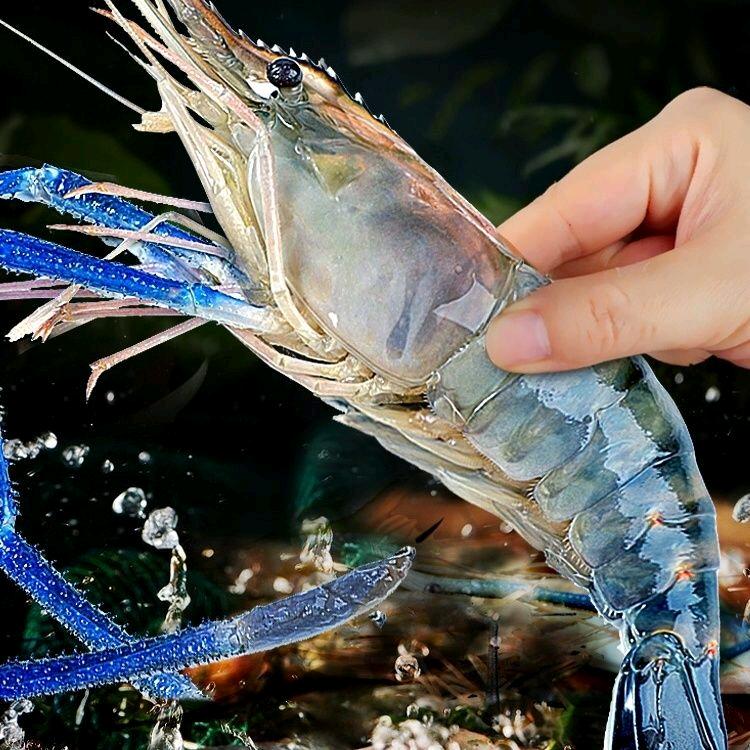 梅妹海鲜