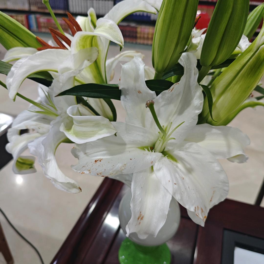 杨秀萍