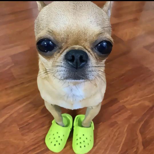 wwww