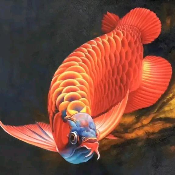 三墩晓严