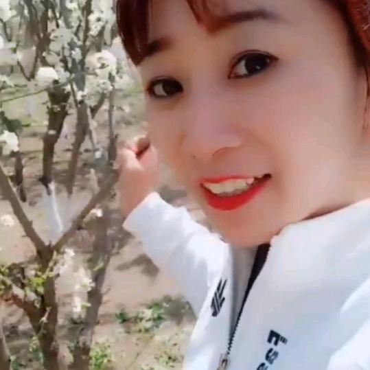 🐝🐝小波姐姐🐝🐝