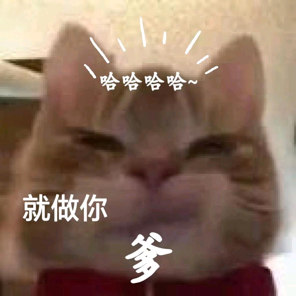 那年花开月正圆