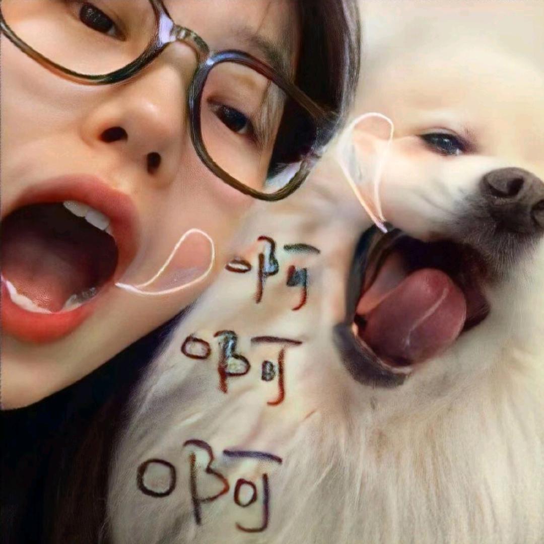 睡觉的时候不困🐟