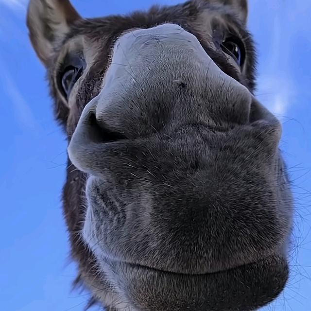 T。