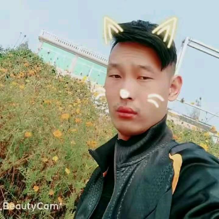 社会东哥