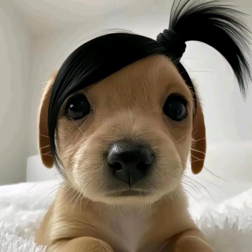 渝yu