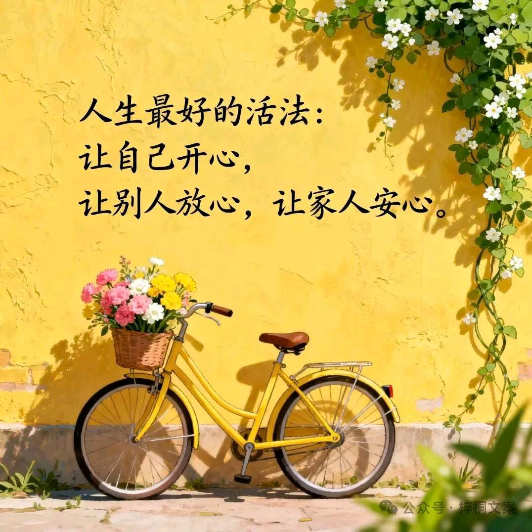 云云✨