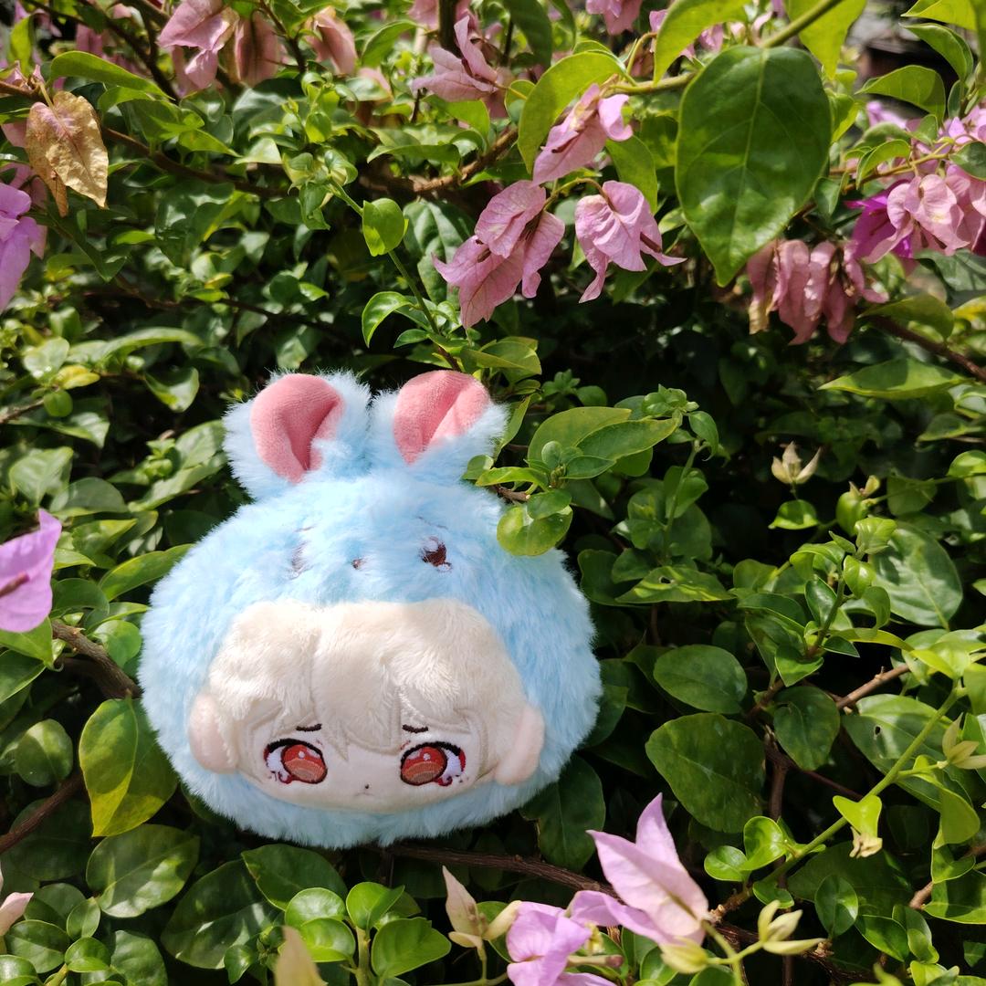 梅梅冰🐰