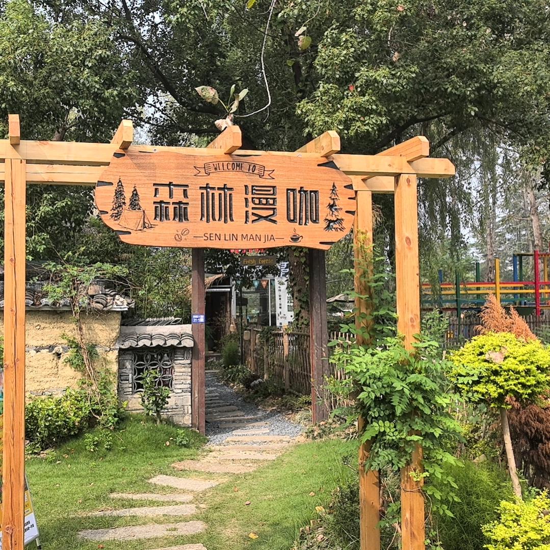 森林漫咖官方号