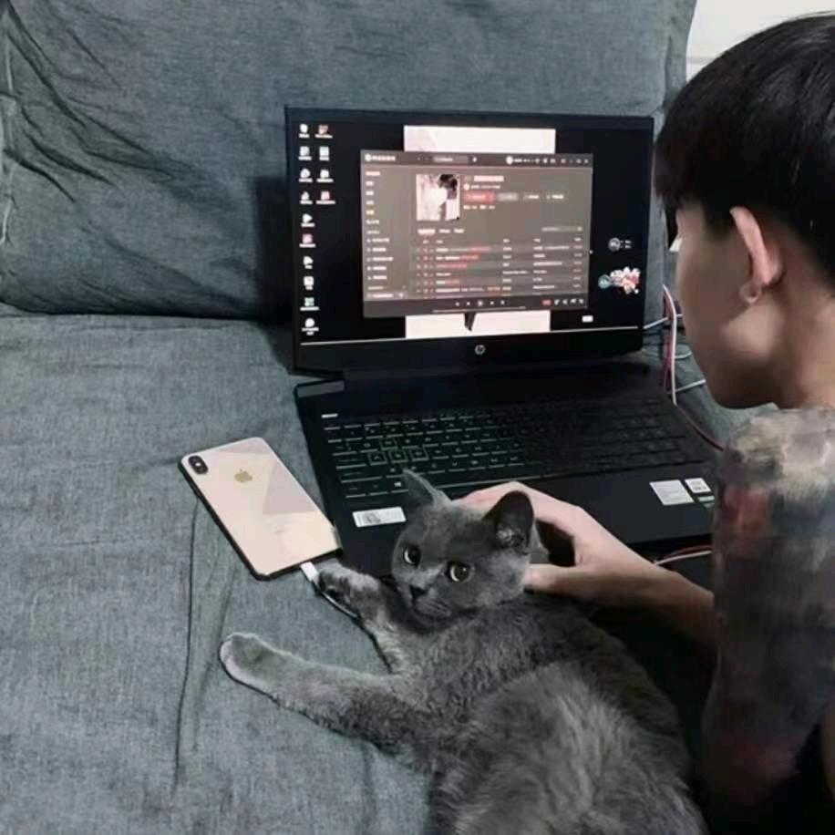 金桥阳光桌球俱乐部