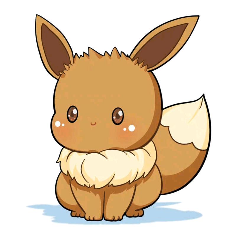 小小伊布布