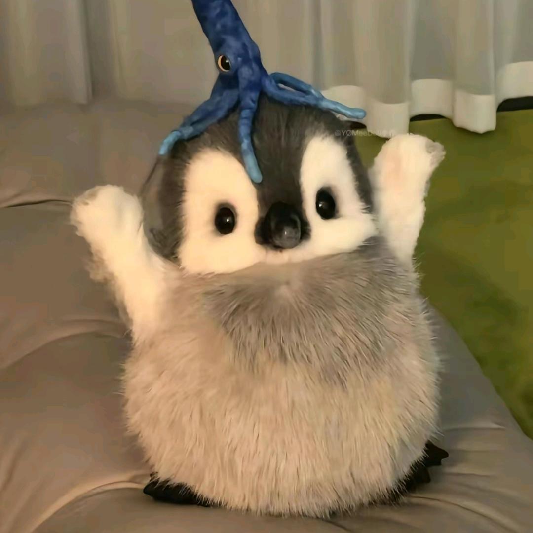 骑猴子的企鹅🐧