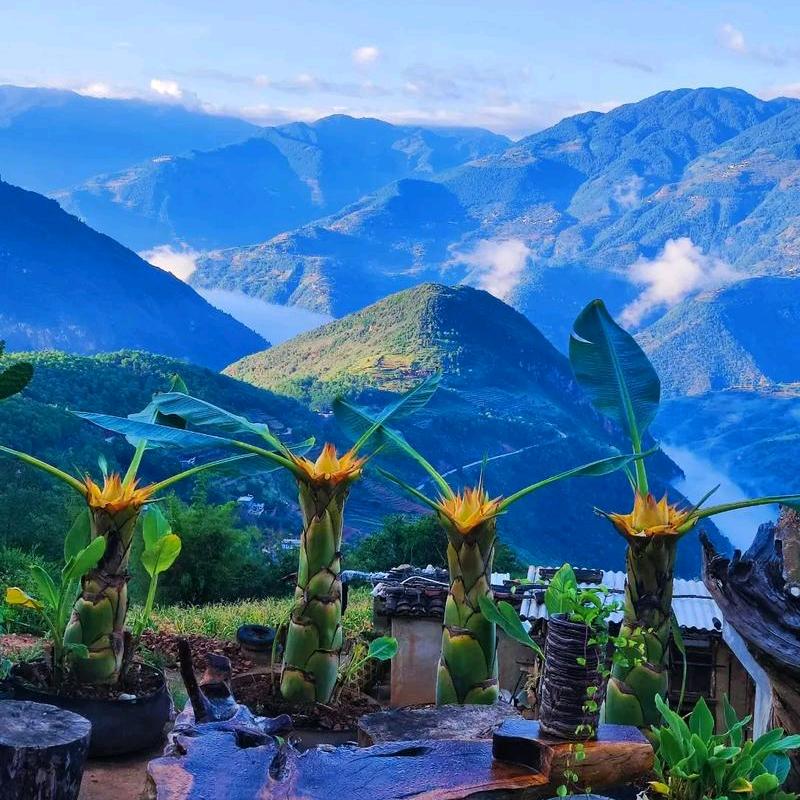 既缘遇，莫忘缘