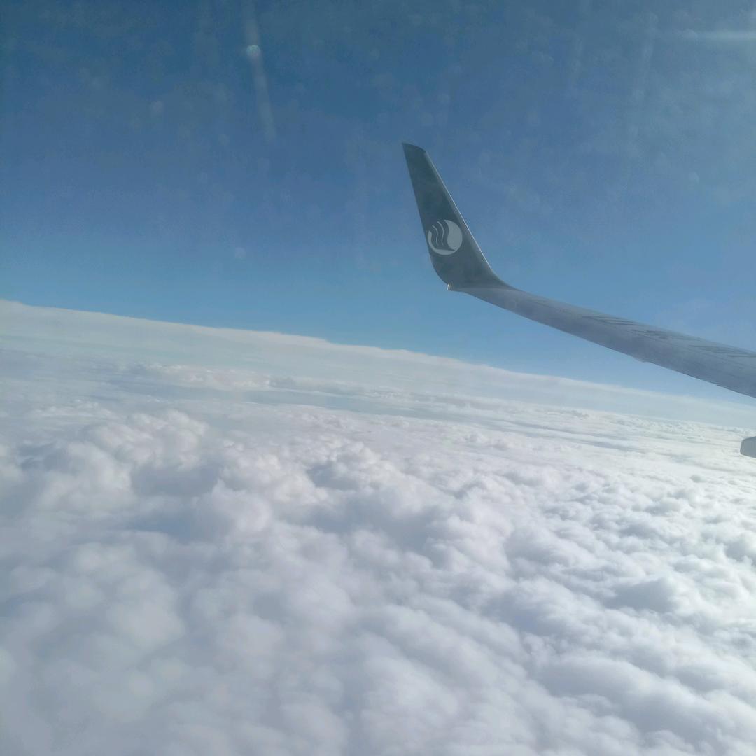 ✨₍˄上官哥*₎◞ ̑̑💖