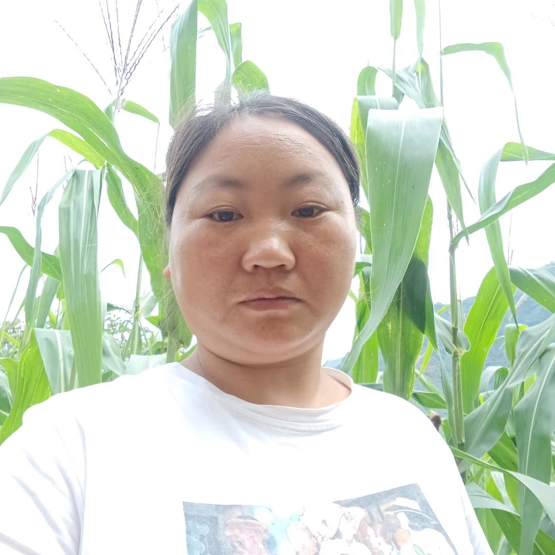 陈老二