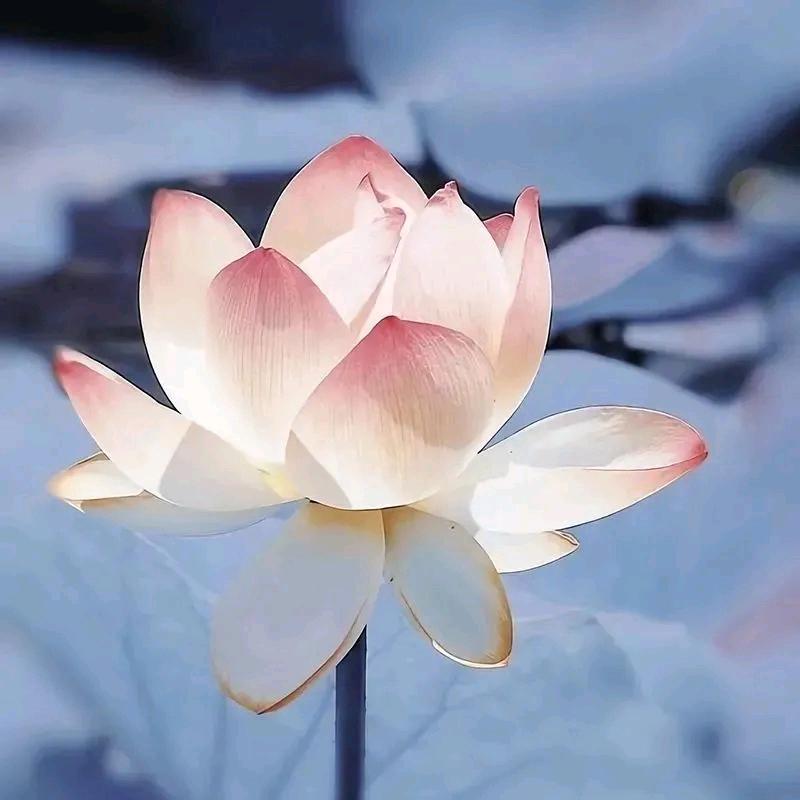 万象浩添传媒