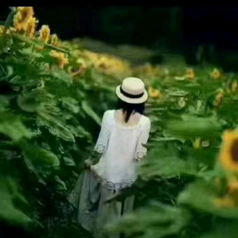 转💦身已陌然💦