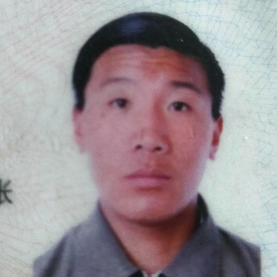 李小龙飞精武门跆拳道馆迷踪拳
