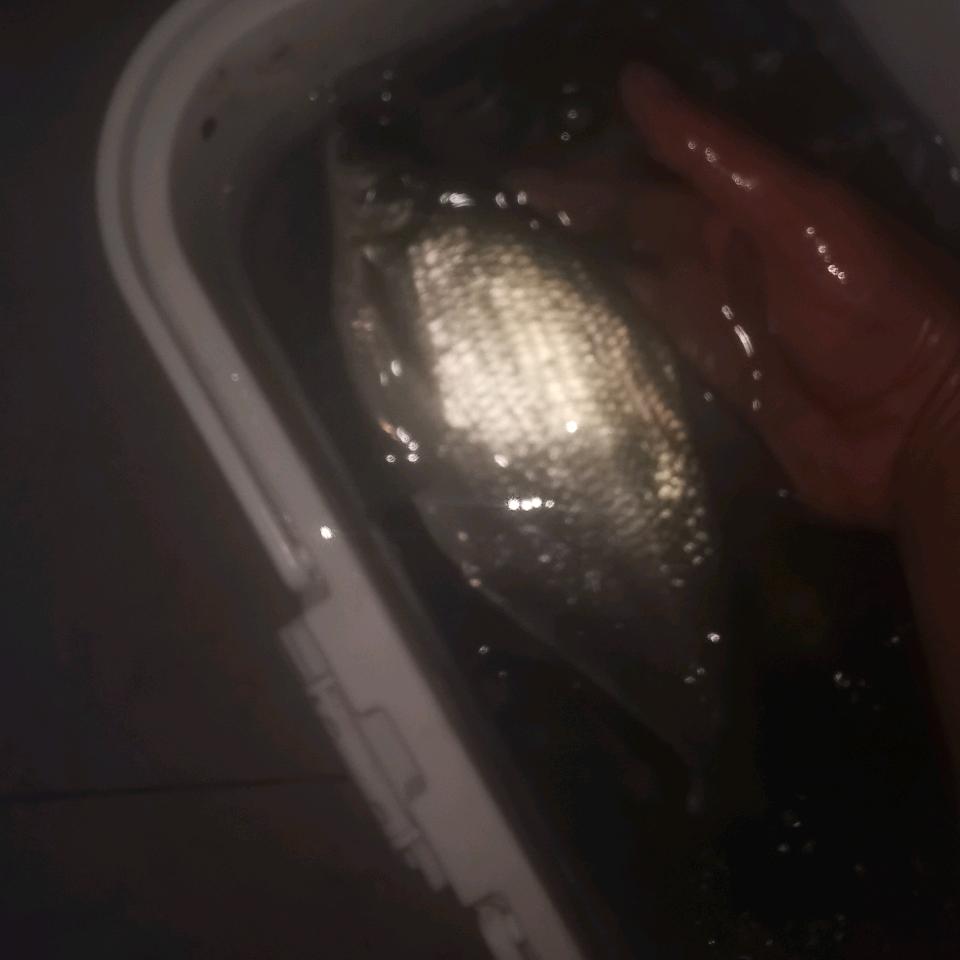 ^0^一个人的孤独