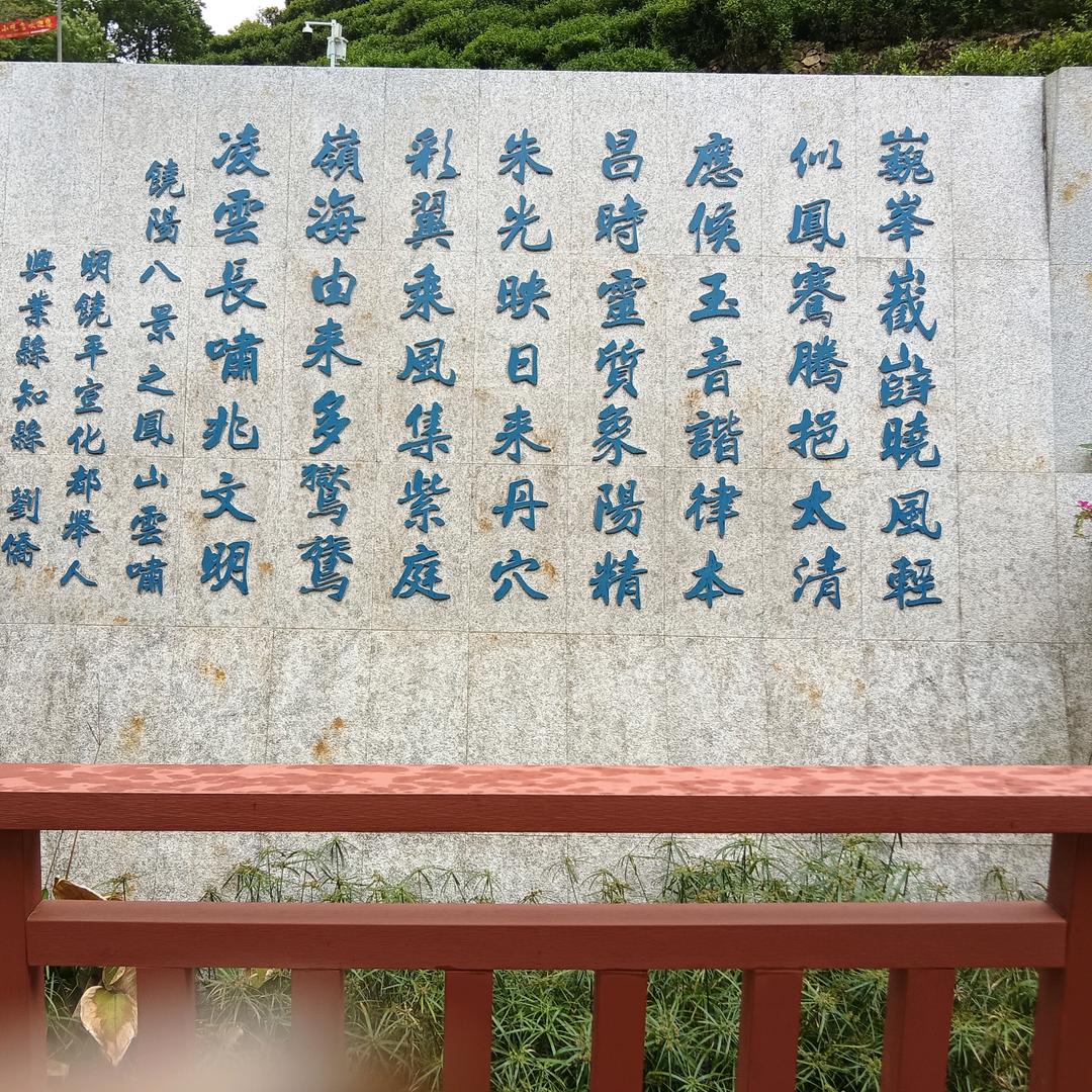 高山老枞水仙茶