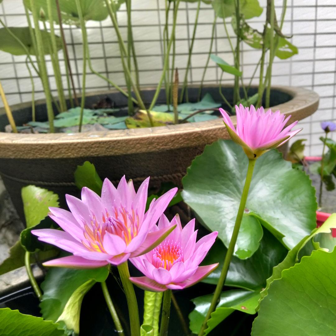 萍水相逢
