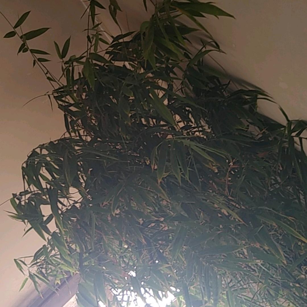 简单的一天头像