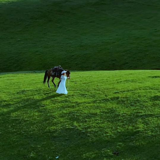 樊氏农产汇（新人首播）