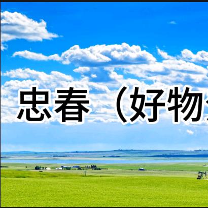 忠春（好物分享）