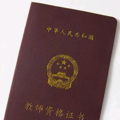 胡瓜老师讲教资