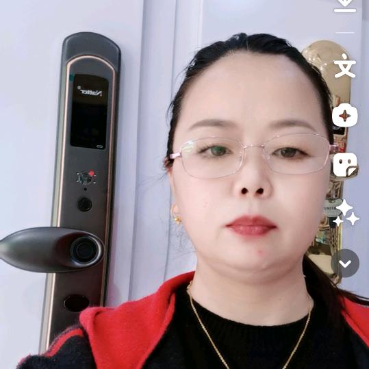 耐特指纹锁大名县爱国锁业