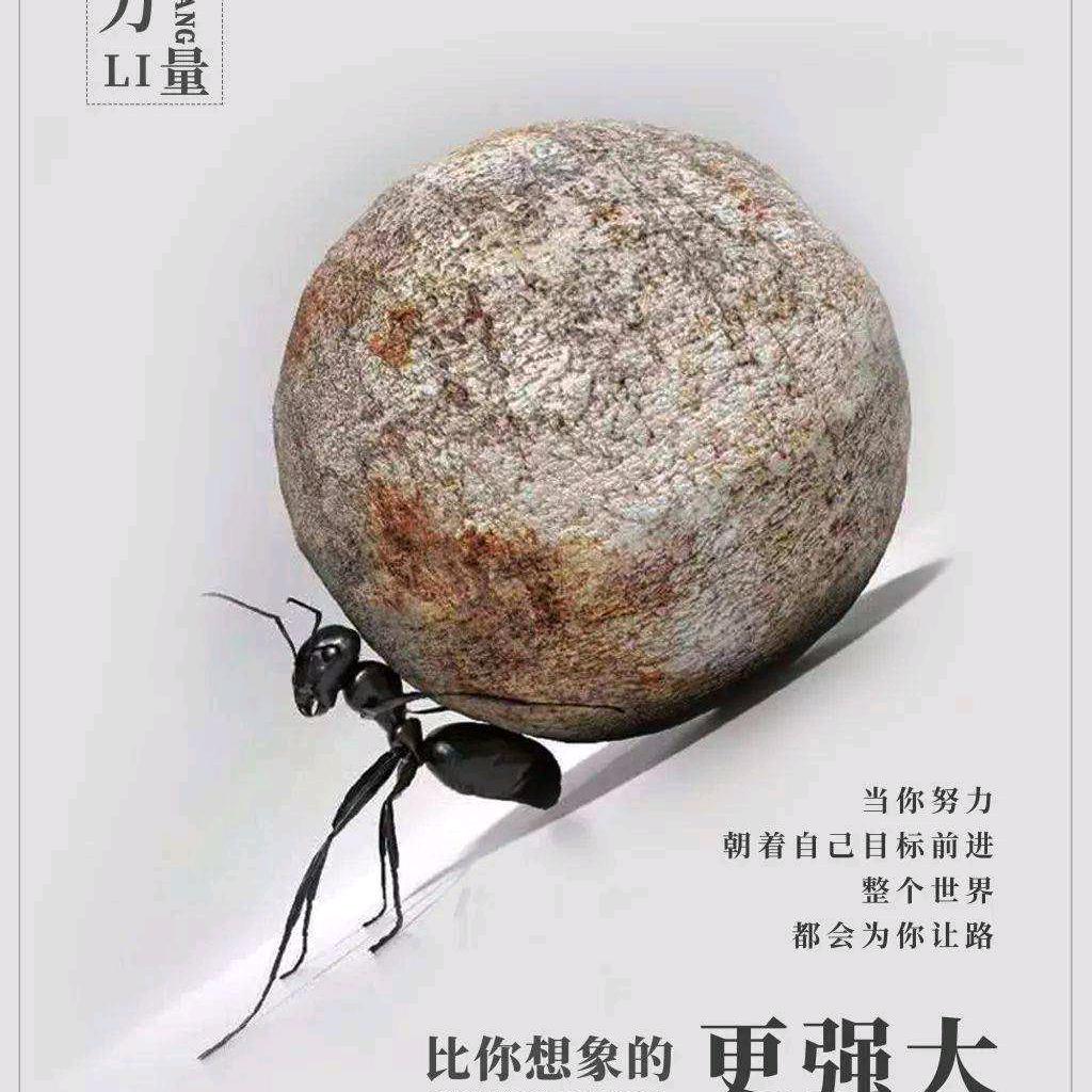 永往直前