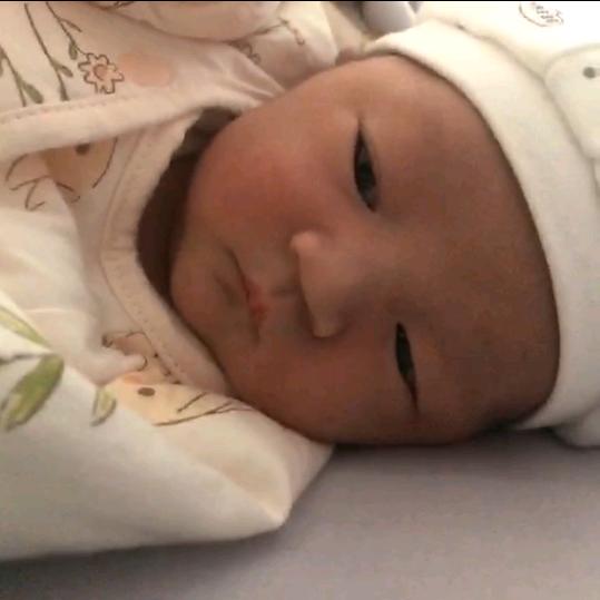 芝麻月饼，好吃