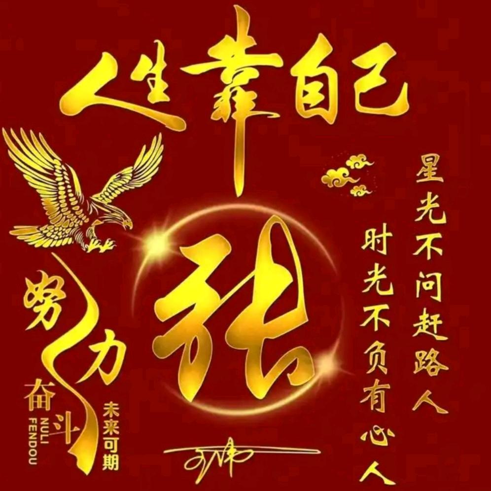 布衣张姐