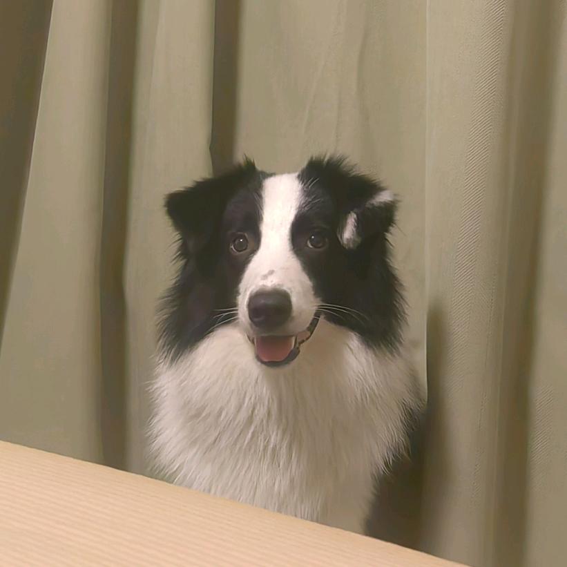 遥
