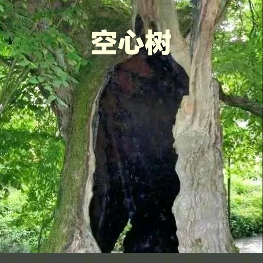 走走停停又回