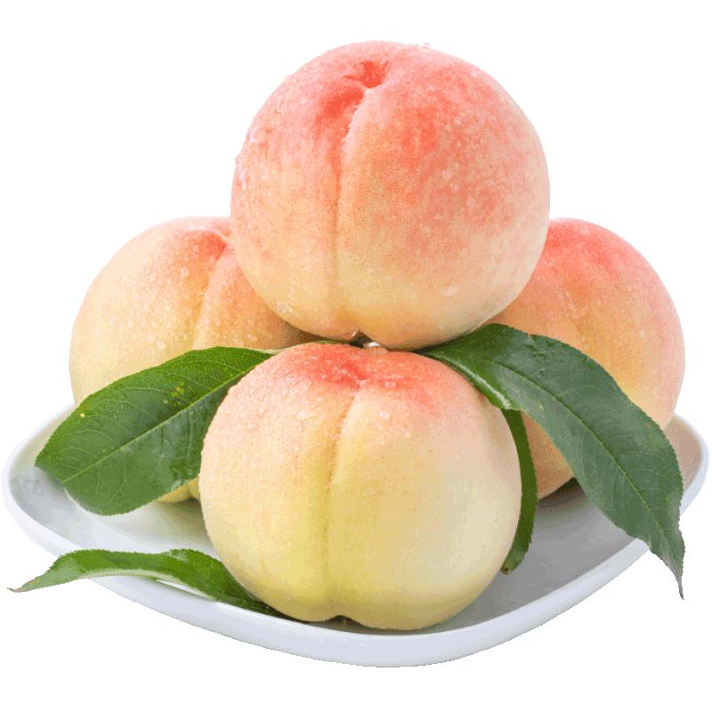 太阳当空赵云☁️（女）