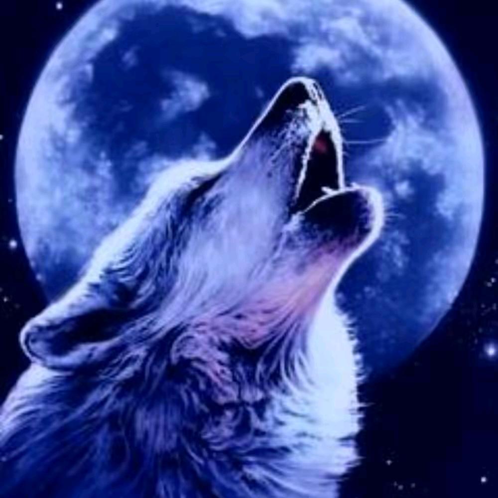 安阳猎人执行咨询