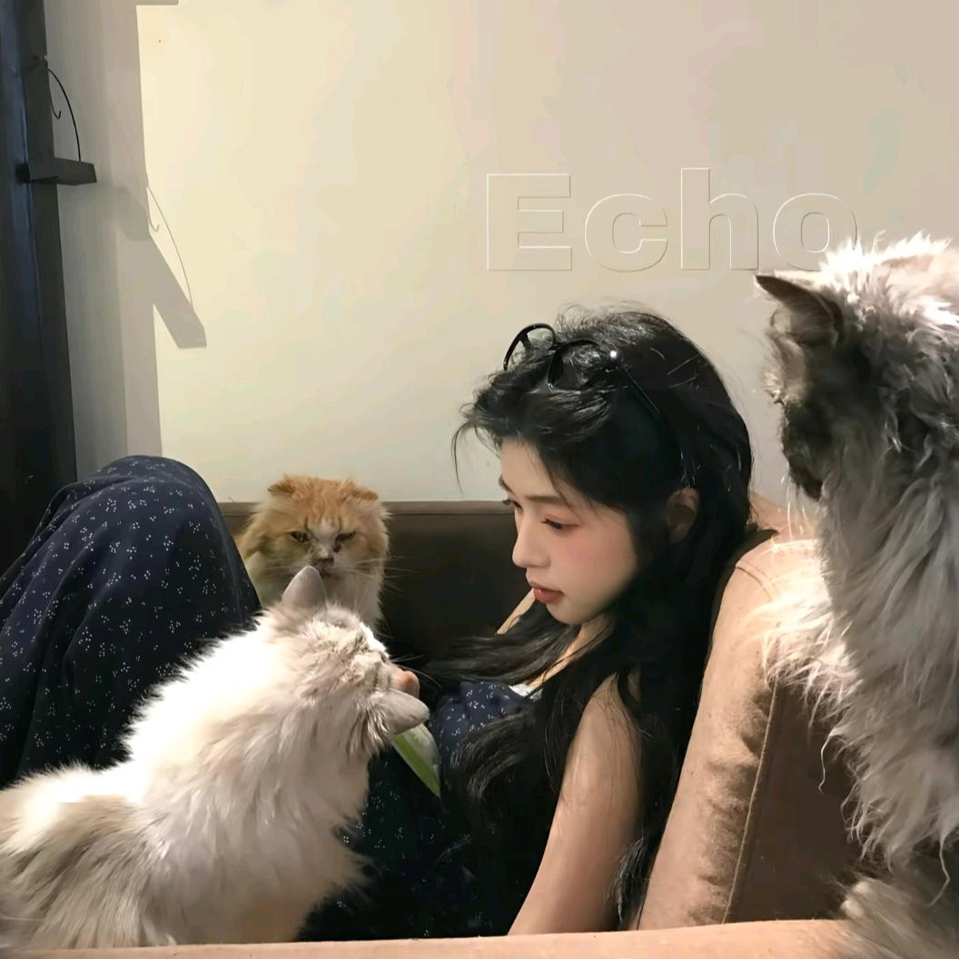圆圆财