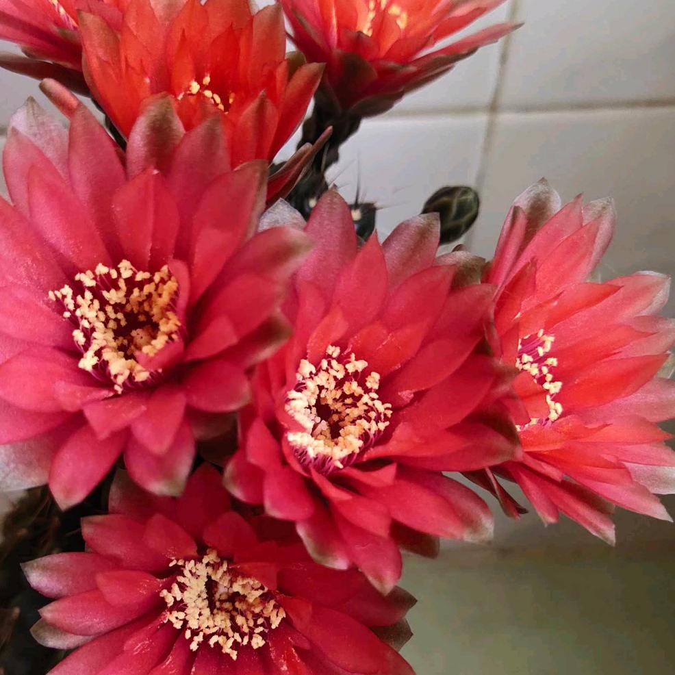 风雨江湖(手机摄影)