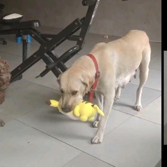 特种绣花、特种工艺小邱