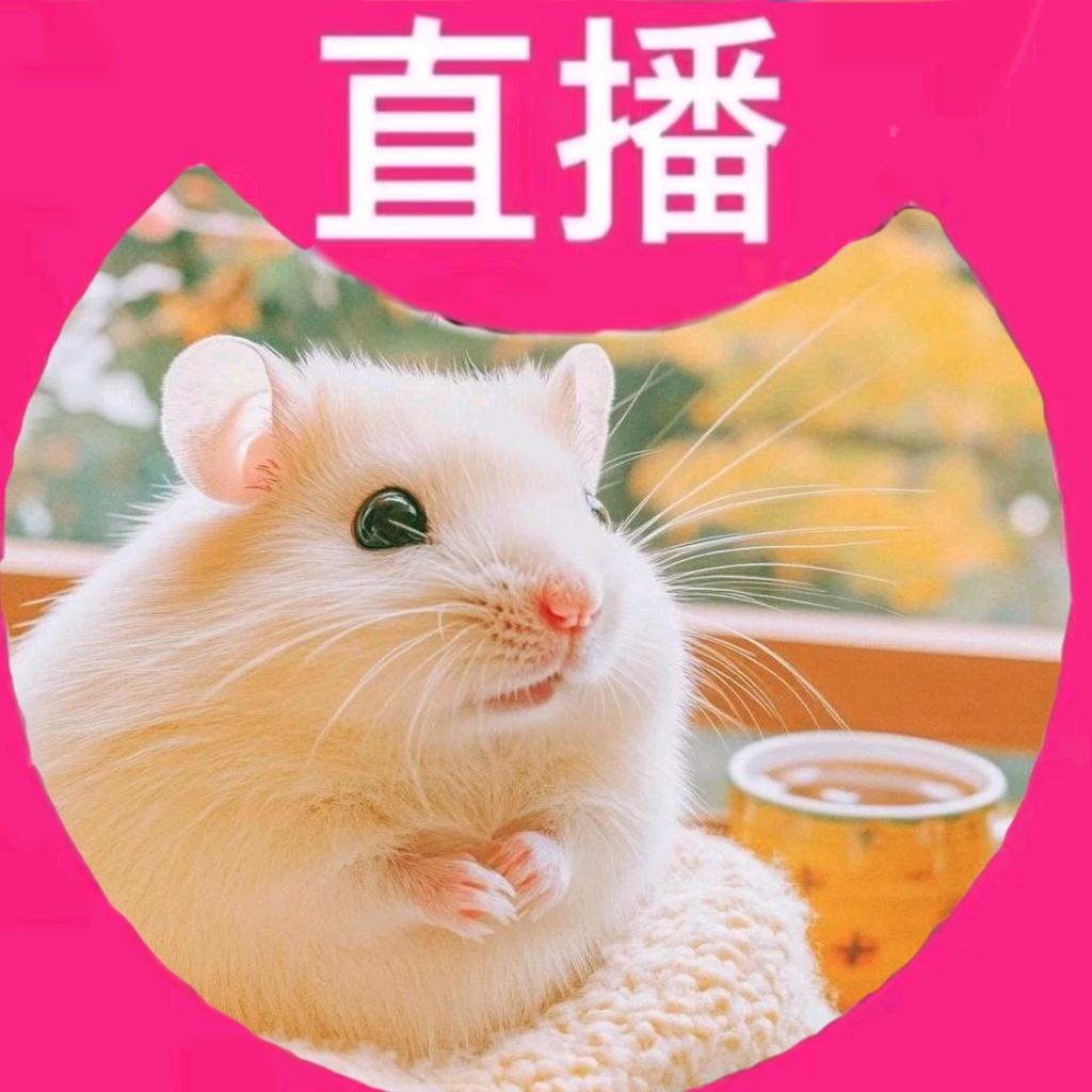 小瓜子,