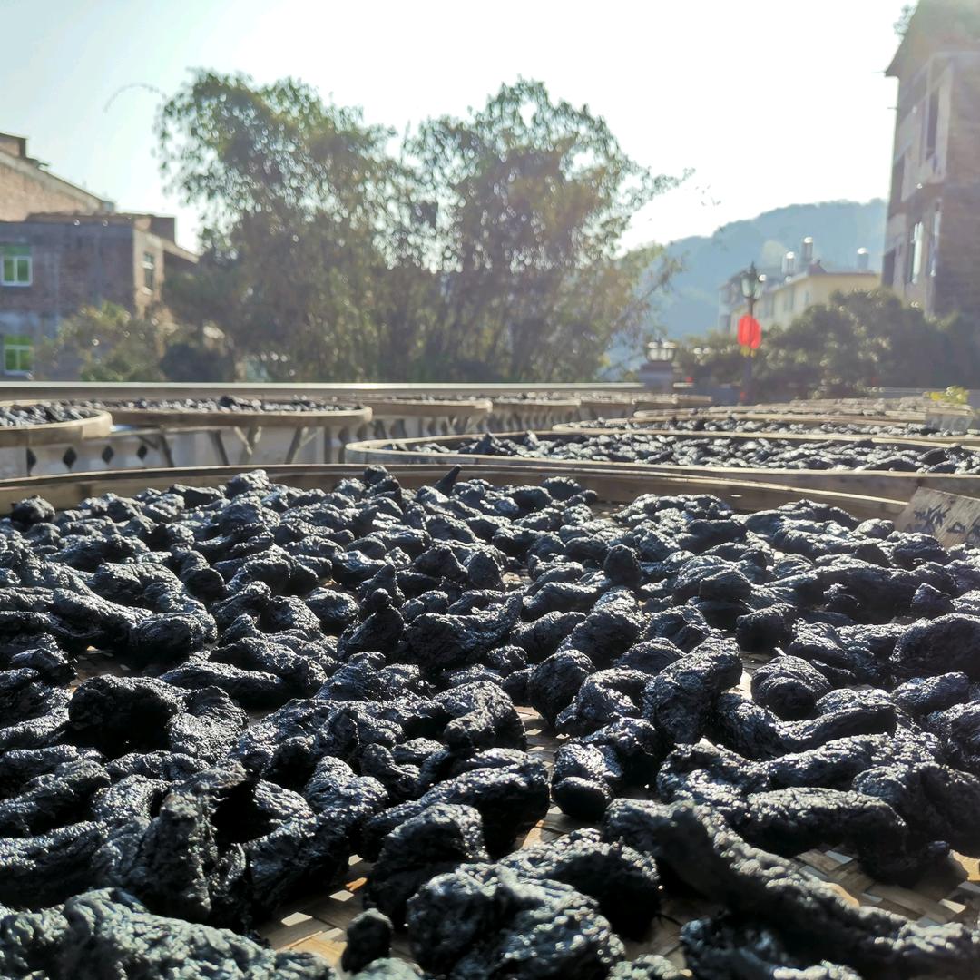 九制熟地非遗传承：张文筑