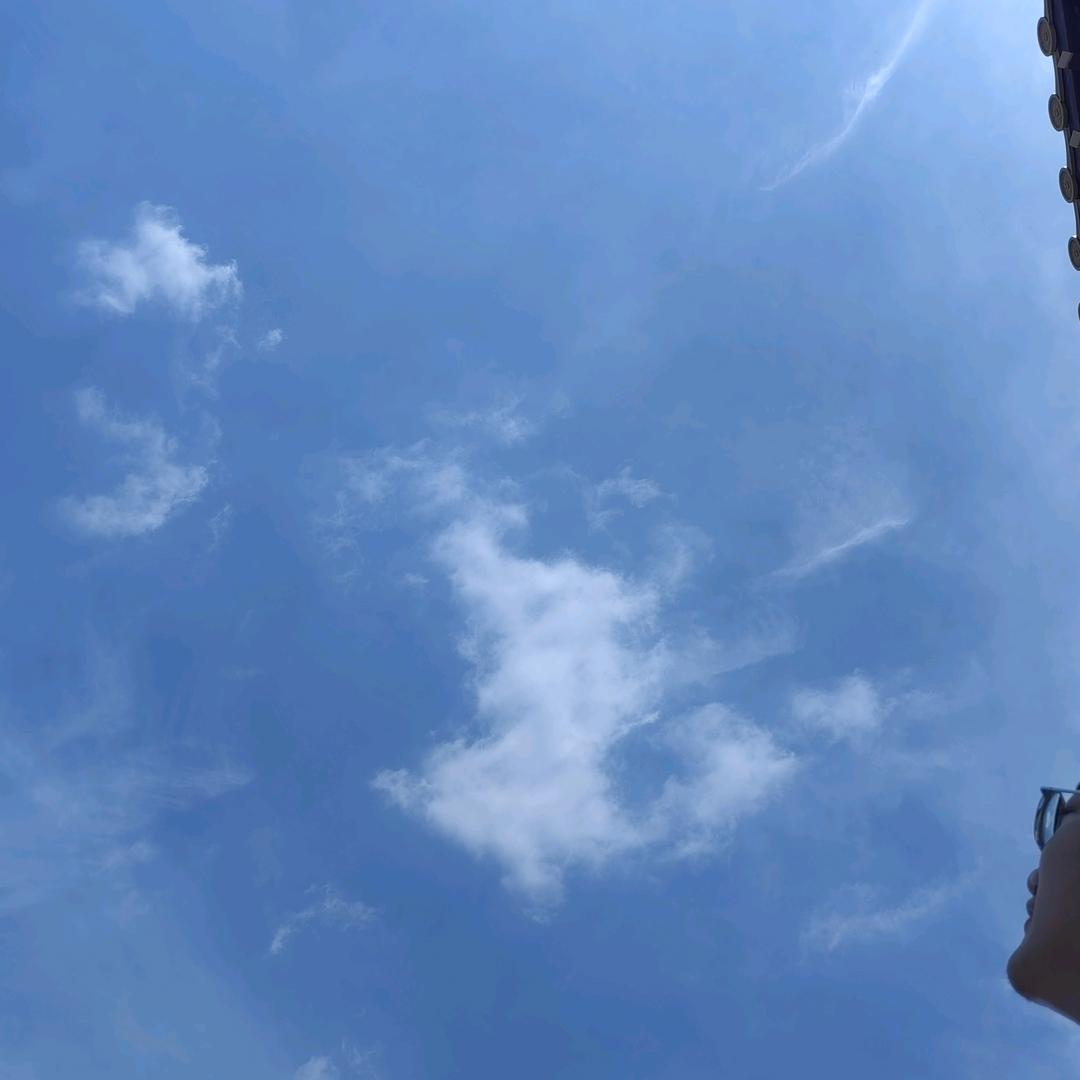 吹不走的风